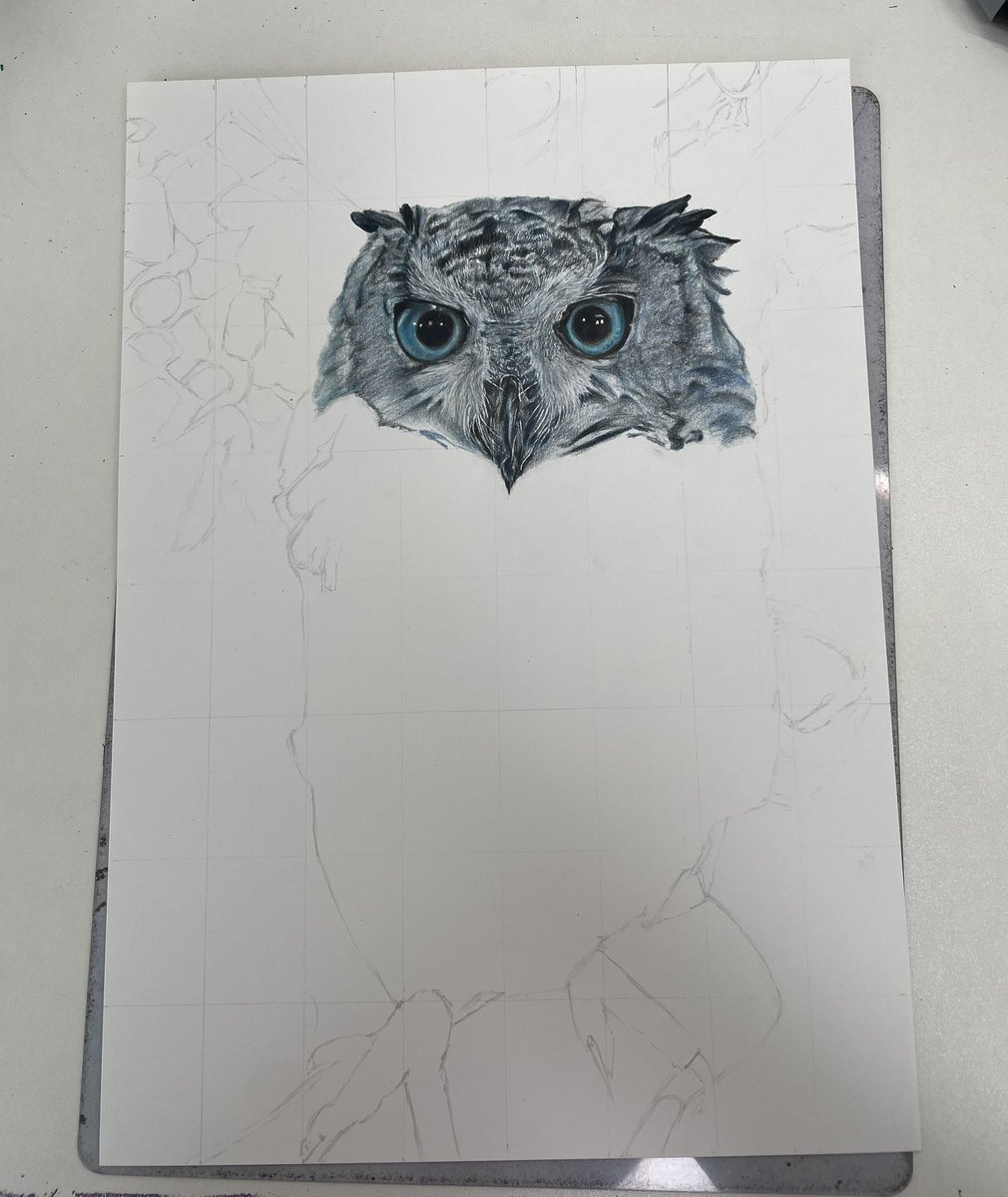 ミミズク　絵画　イラスト　ドローイング ミミズク | 絵画販売 インテリアアート専門通販 This Is Gallery