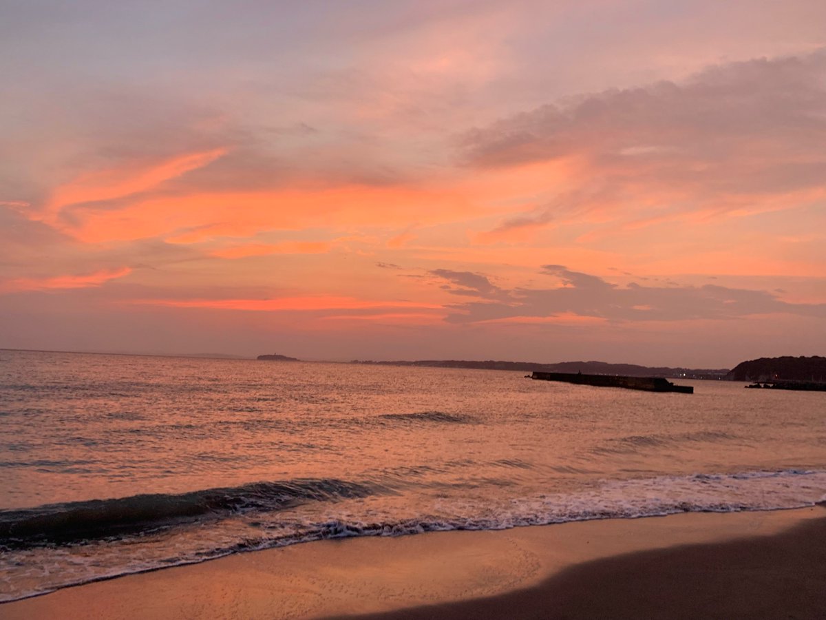 森と海をむすぶ川 : 沿岸域再生のために 森と海をむすぶ川: 沿岸域再生のために | 向井 宏, 京都大学
