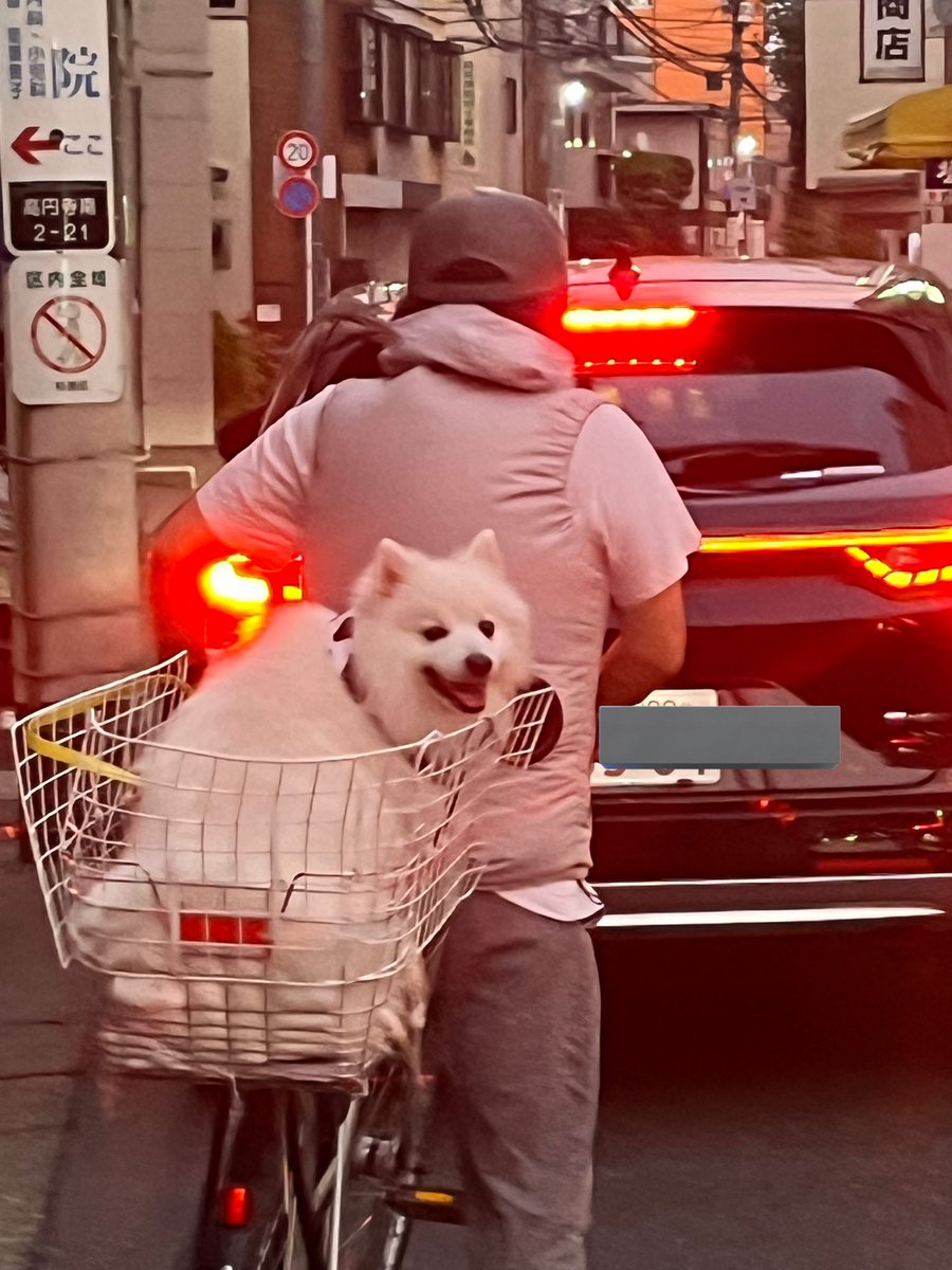 祭りによるプチ渋滞に巻き込まれた。