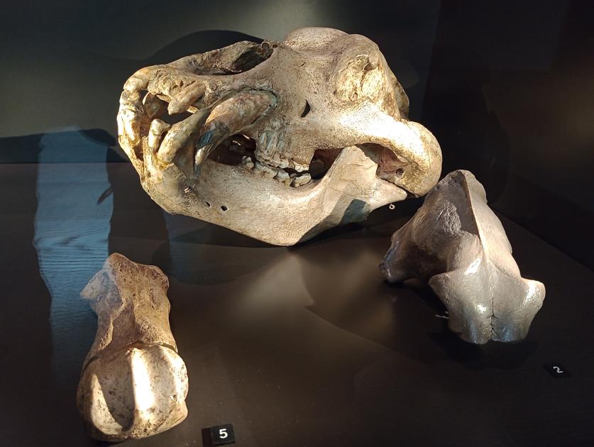 Research & Knowledge Exchange - Uni of Lancashire tweet media