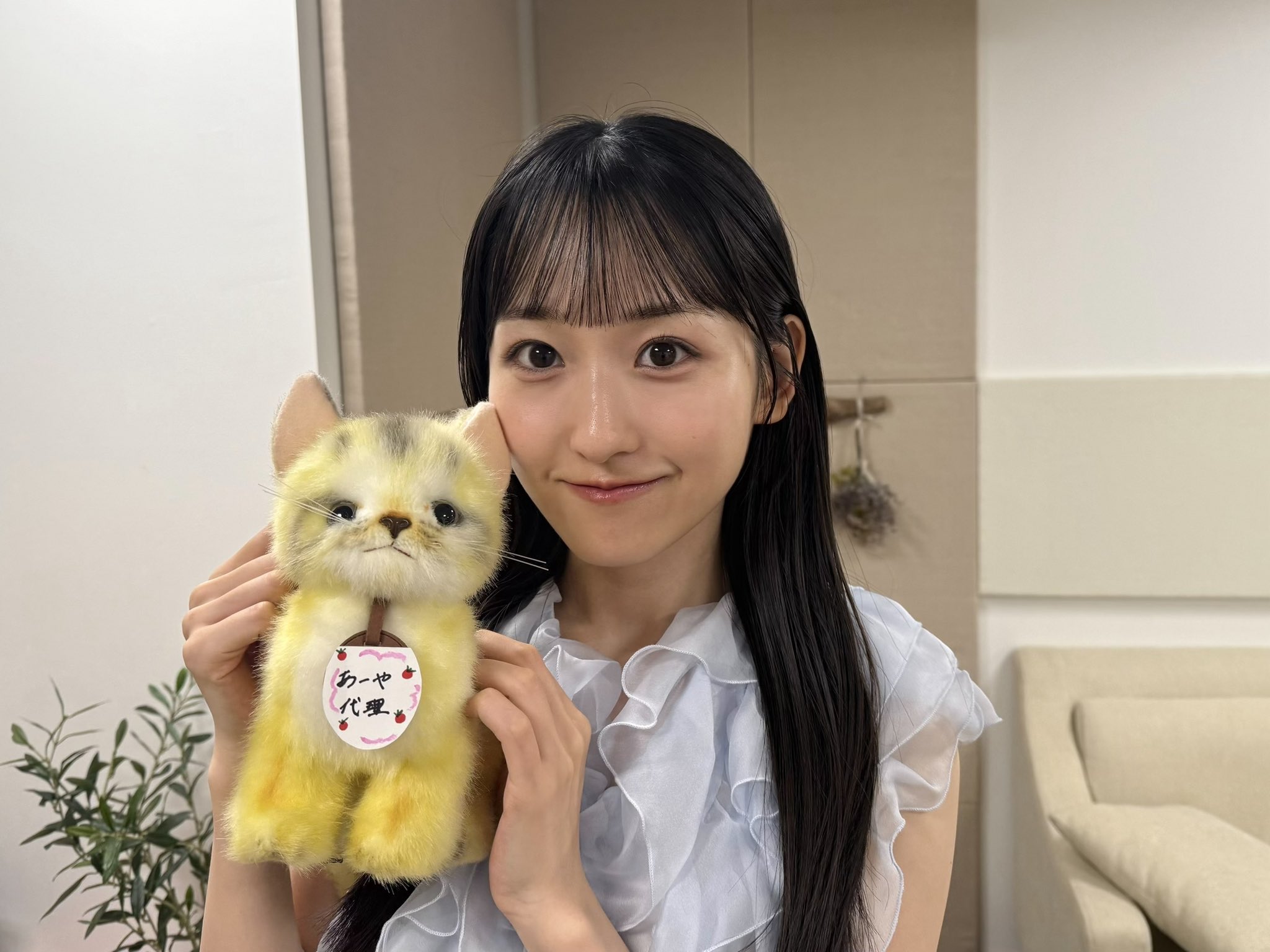 乃木坂46 on X: 