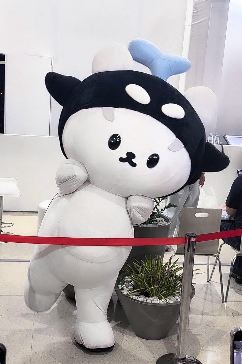 เติมหลานนนน 

NewSan X INGU SKIN
#Polcasan #ยัยซัง 
#INGUxNew