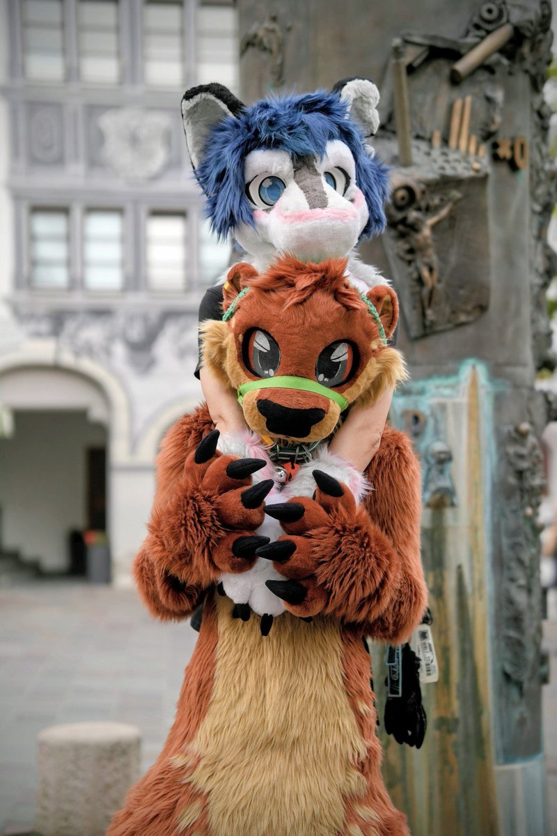 Happy #fursuitfriday!
Found a shmol cookie at the last SBH suitwalk :3

📸: <a href="/iamnotasynthh/">Synthie→AWO, EF</a> 
🦦: <a href="/iKeksiiii/">Keksiiii🦦</a> 

#furry #fursuit