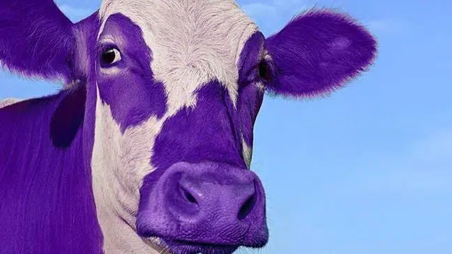 Purple Cow judges when you don't differentiate 

prove it wrong, find ways to be remarkable