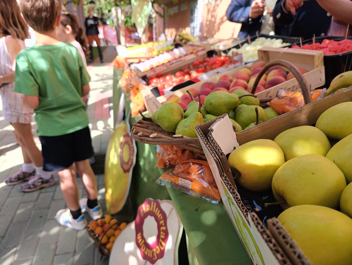 Alumnos de 299 colegios de la Región recibirán el próximo curso raciones de frutas, hortalizas y leche para fomentar la alimentación saludable

La iniciativa cuenta con una inversión de 830.000 euros recogidos en los Presupuestos regionales

El pasado curso más de 72.000
