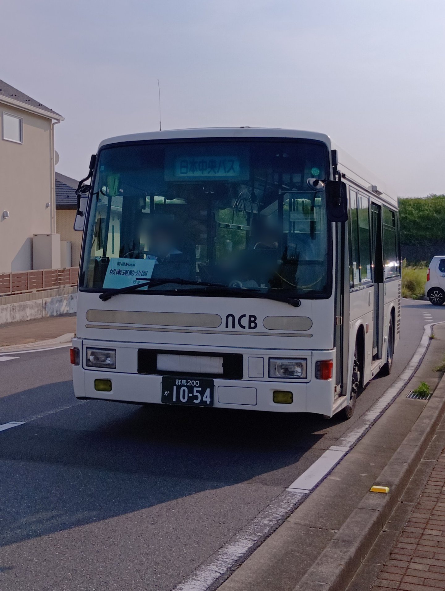 【CPC-L24】白馬 41qdm7CnxiL._UF1000,1000_QL80_.jpg