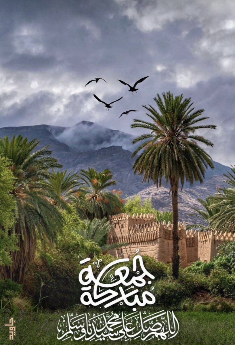 hamst_waafa's tweet photo. مساء الخير https://t.co/ji6qQBQ7XT