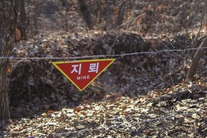 💩지제💩 tweet media