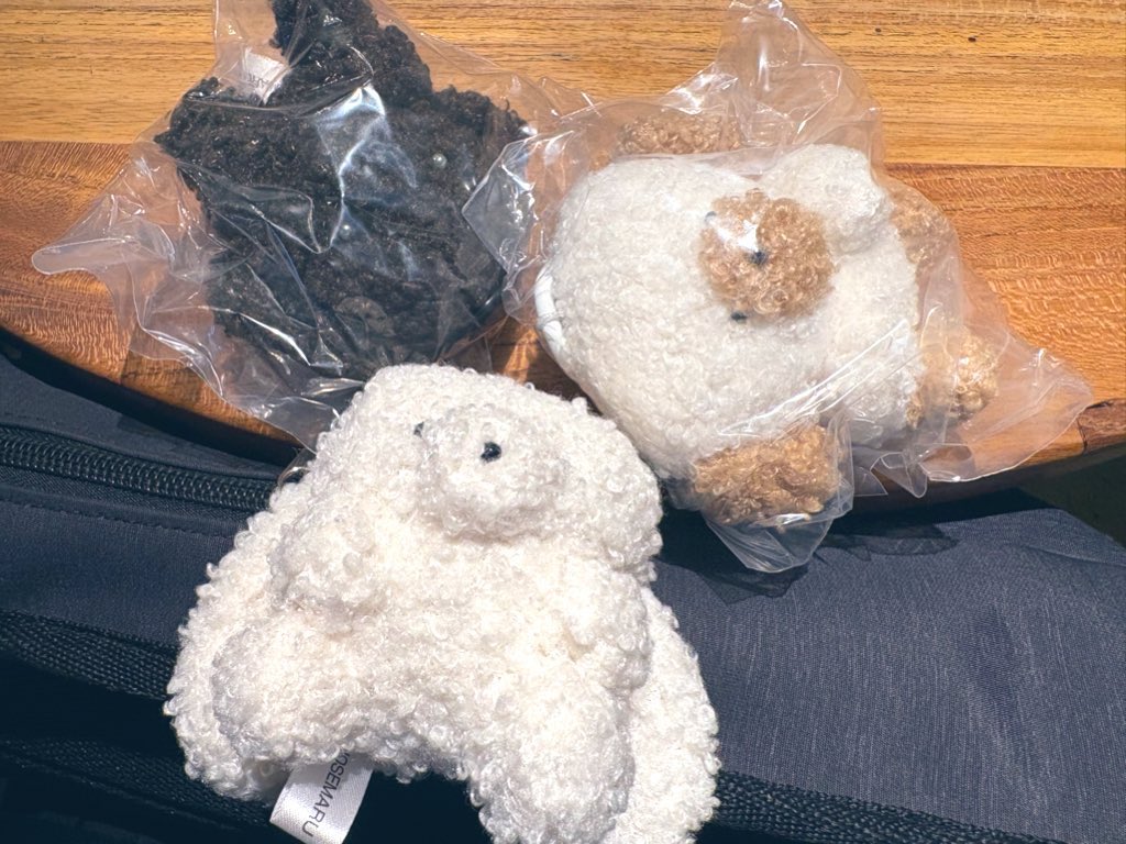 tsyzks's tweet photo. 愛しきいのちたち https://t.co/Rhcp7WPffS