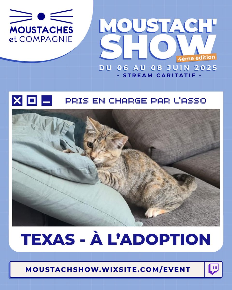 Moustach'Show tweet media