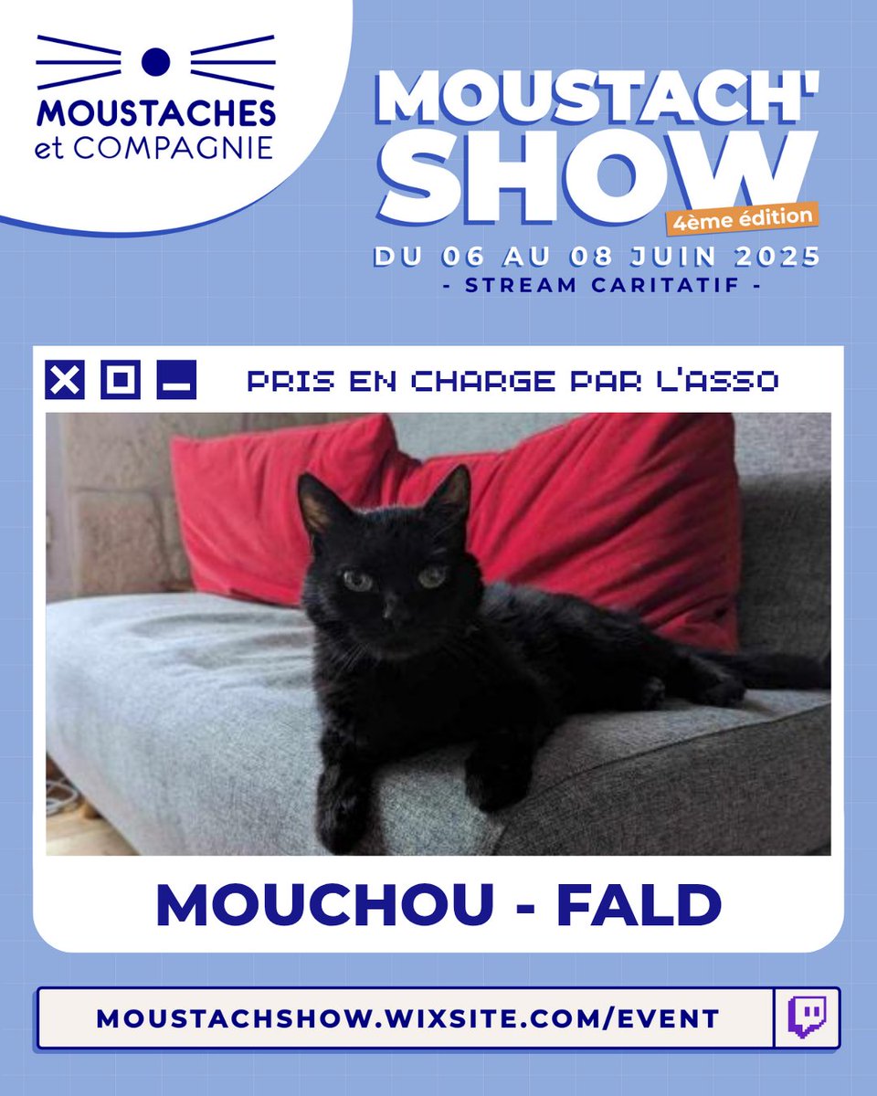 Retour en chiffres sur le Moustach’Show – 4ème édition !

Grâce à votre générosité, <a href="/Moustaches35/">Moustaches & Cie</a> a déjà pu prendre en charge un nombre considérable de chiens et chats 😻 

Pour plus d'informations : moustaches-et-cie.org

#chat #chien #moustachshow #evenementcaritatif #stream