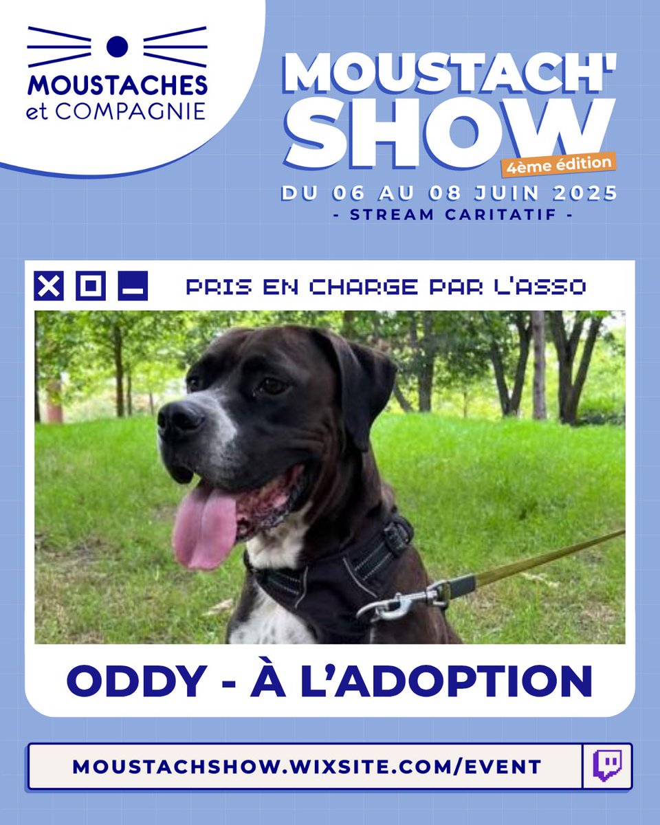 Moustach'Show tweet media