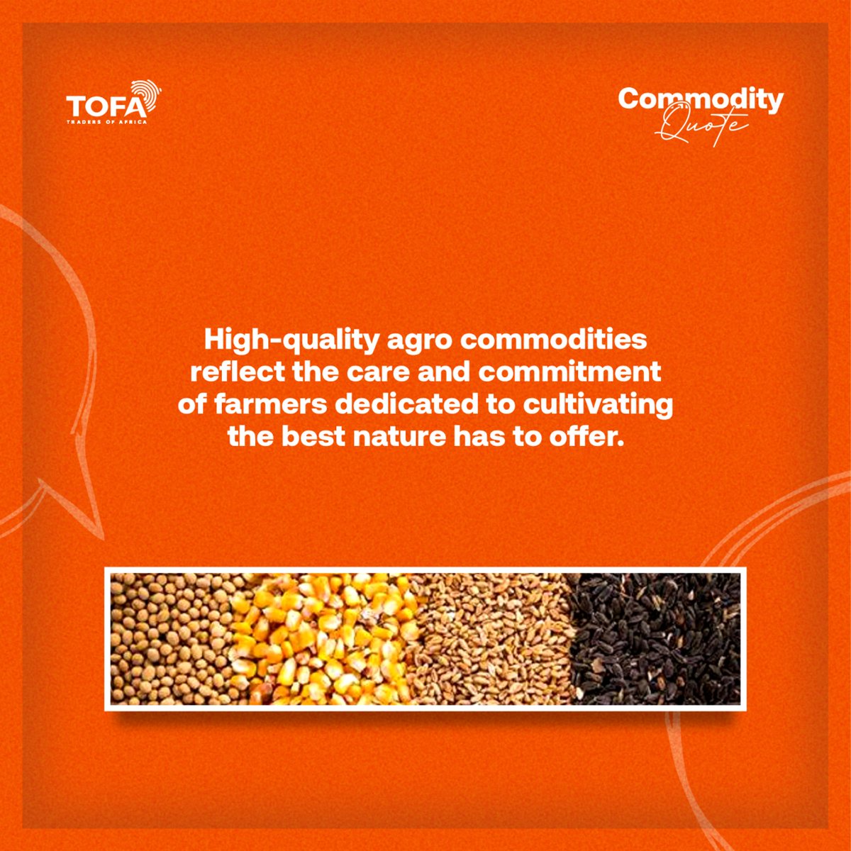 tofadotcom's tweet image. 🌾Every grain tells a story of care &amp;amp; commitment.
High-quality agro commodities = nature’s best, nurtured with dedication🌍✨
📢Investors, buyers, sellers; trade with trust at TOFA Marketplace
🔗tradersofafrica.com
#AgroExcellence #TOFAMarketplace #TradeAfrica #InvestInAfrica