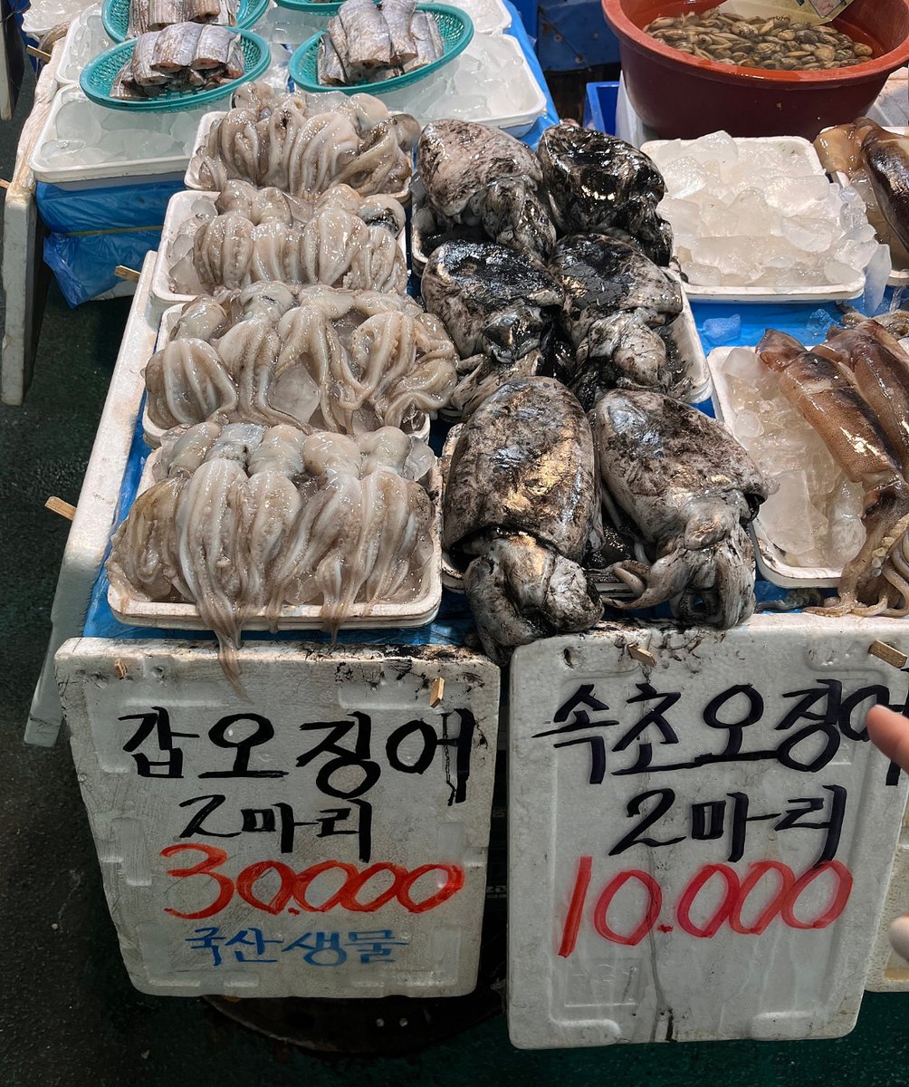 캣츠파파 tweet media