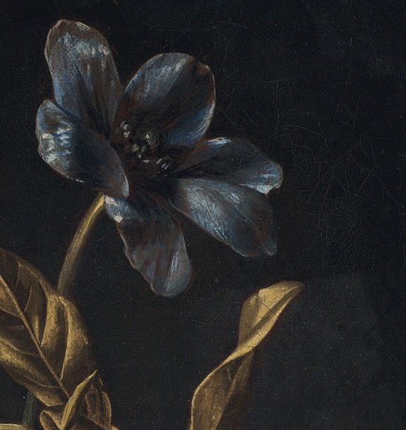 Almudena tweet media