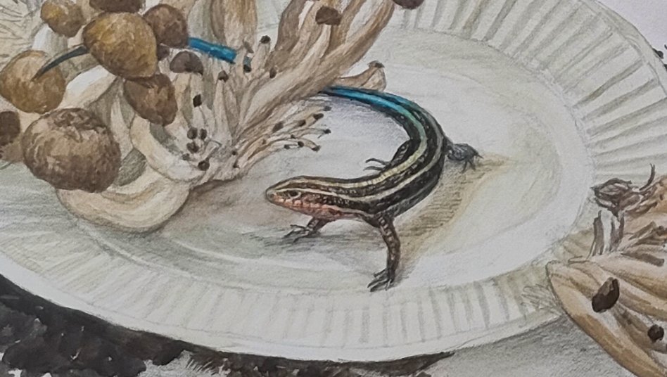 🦎