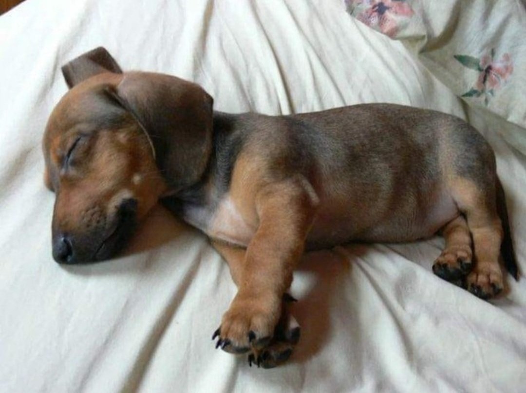 𝐌𝐚𝐭𝐭 𝐏𝐢𝐧𝐧𝐞𝐫 tweet media