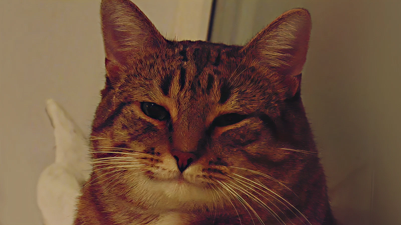 Already tired for tomorrow.