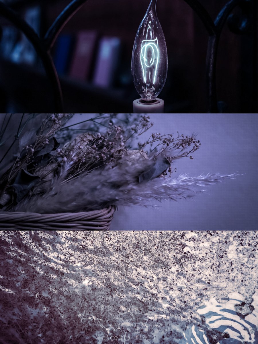 伝えそびれたこと
ひとつだけわがままを許されるなら言いたかったこと