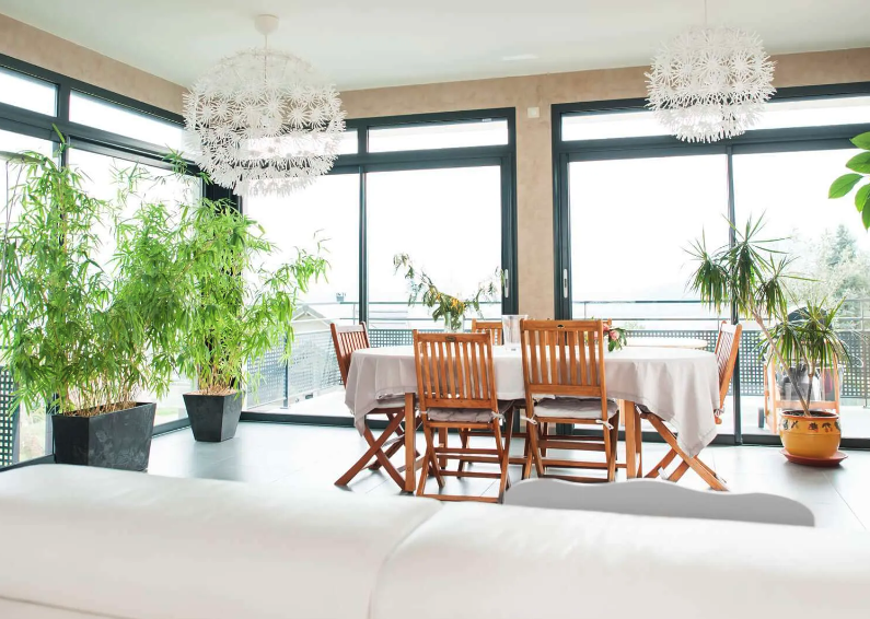 Albion Windows tweet media