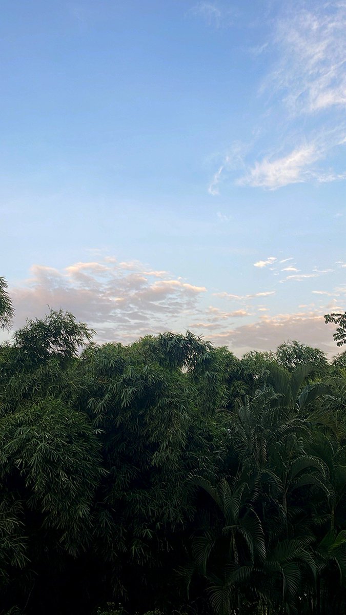 La mirada del viernes. Buen día. #DesdeElOasis