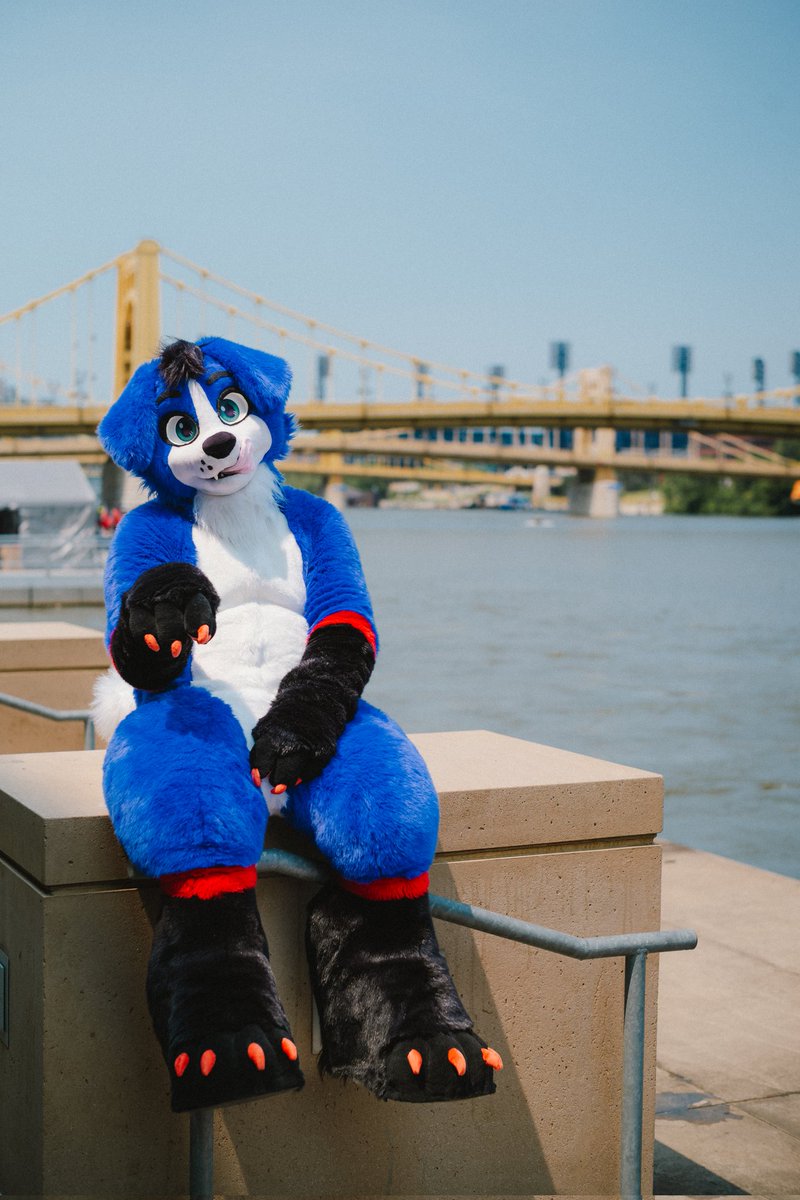 *paws at you*
#FursuitFriday

📸 <a href="/luke_spots/">Luke Spots</a> 
✂️ <a href="/RebelRCreations/">Rebel Rainie Creations</a>