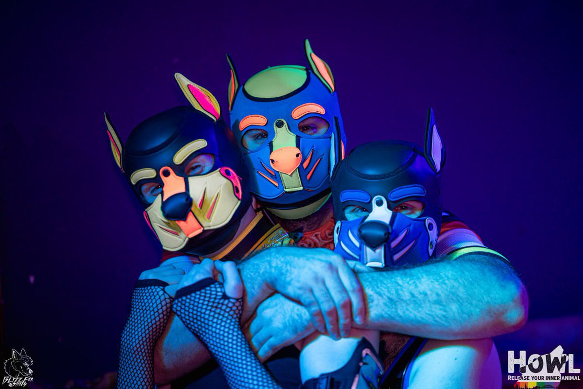 Some good dogs at <a href="/Howl_Newcastle/">Howl 2.0</a> 🐶

<a href="/Fyre_Boi/">Fyre</a> <a href="/PupperNero/">Nero ✨🐶</a> <a href="/pup_kylo1/">PupKylo</a> <a href="/PupNimo/">Pup Nimo ✨</a> Lucky

📸 <a href="/Blitz__Fox/">🐾BlitzFox🐾 🔜 SC26</a> &amp; Nero