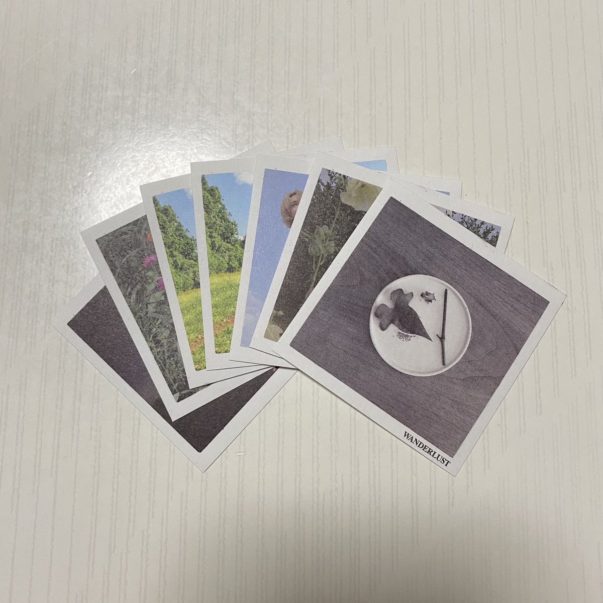 jeonghanegg's tweet photo. ジョンハンのフォトブック届いたけど、このフォトカード6枚で1セットなのに、1つだけ同じものが2枚入っていて全部で7枚あった笑
たまたまだけど、景色の写真じゃなくて、ジョンハンの写真が2枚になったから余計嬉しい♡⸝⸝ᐢ.  ̫.ᐢ⸝⸝♡ https://t.co/5XXK9Dh0sZ