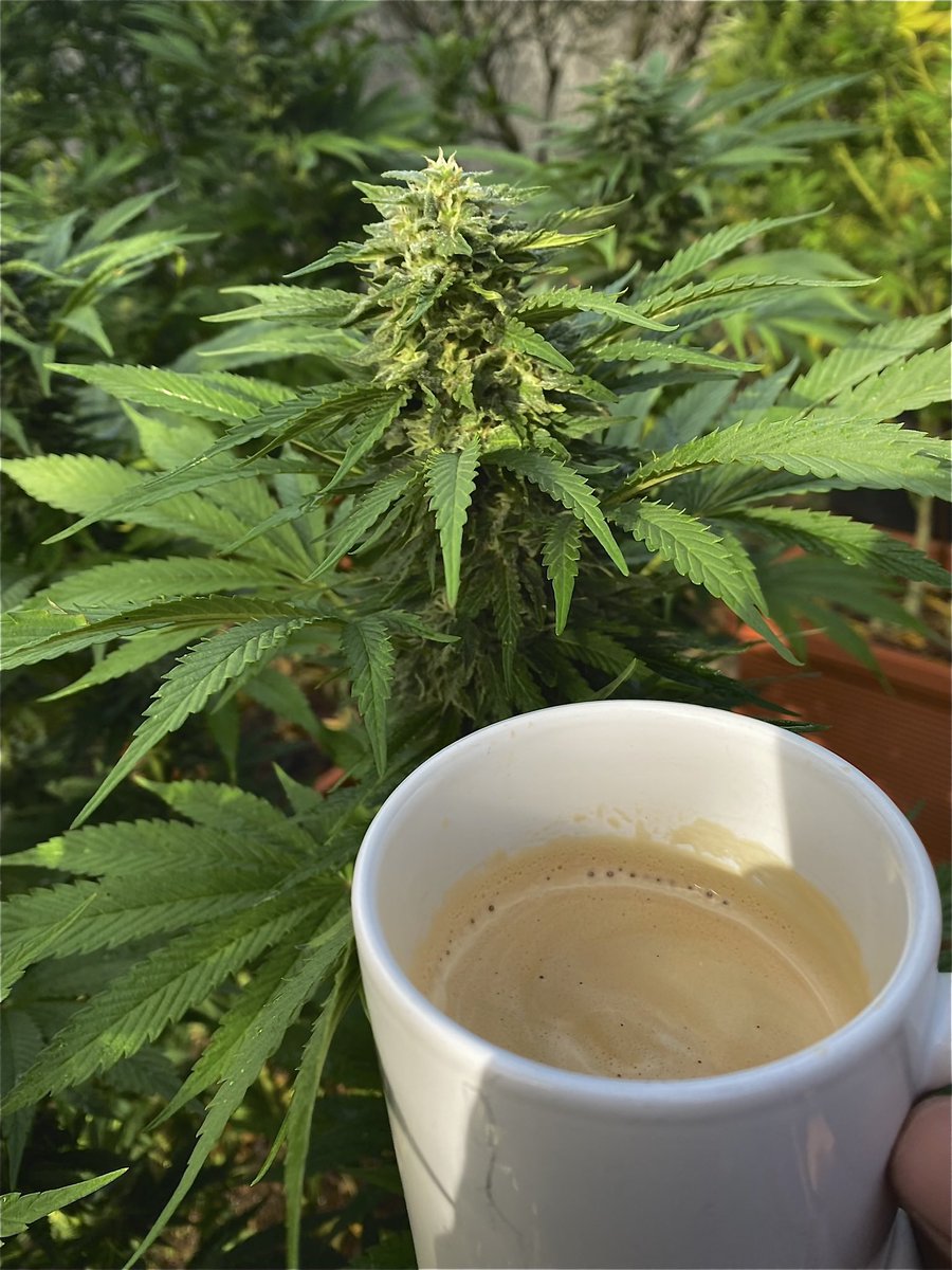 Gm web3 ☕️
Let’s get ready for the weekend 🤝🏼