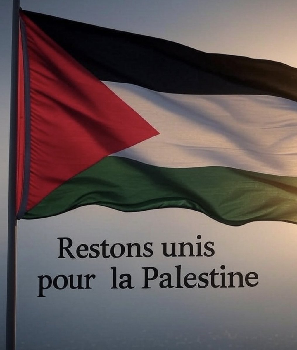 emiliegomis's tweet photo. 🇵🇸 https://t.co/vFXfZRxKMc