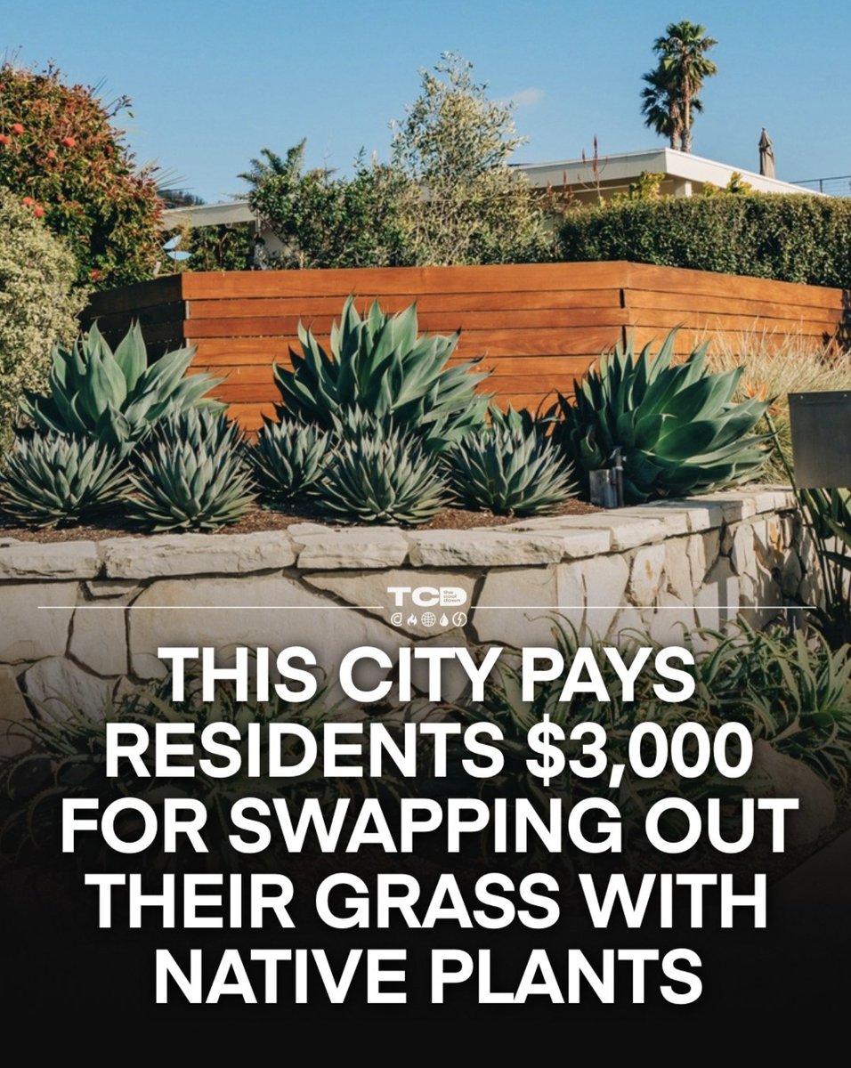 Louis De Jaeger - Commensalist tweet media