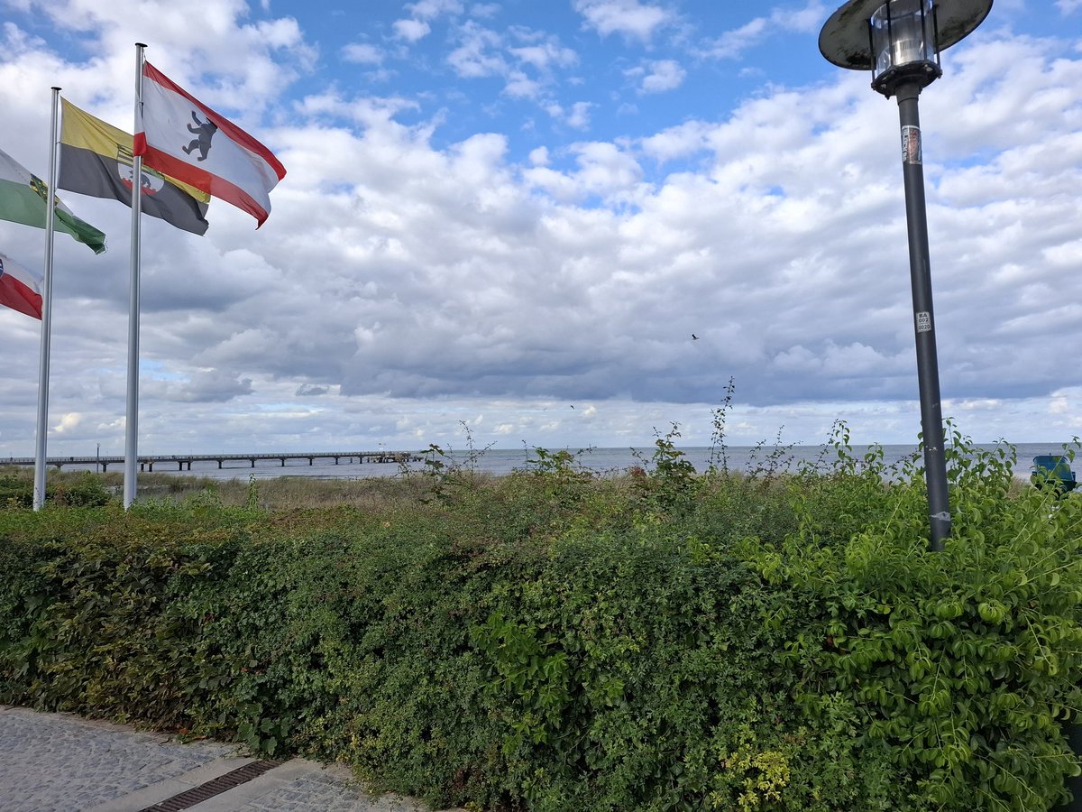 Ausflug zu Meer 🌊 ich befürchte wir haben im Planquadrat 74 D vergessen einen Grashalm zu markieren. 🥺😅