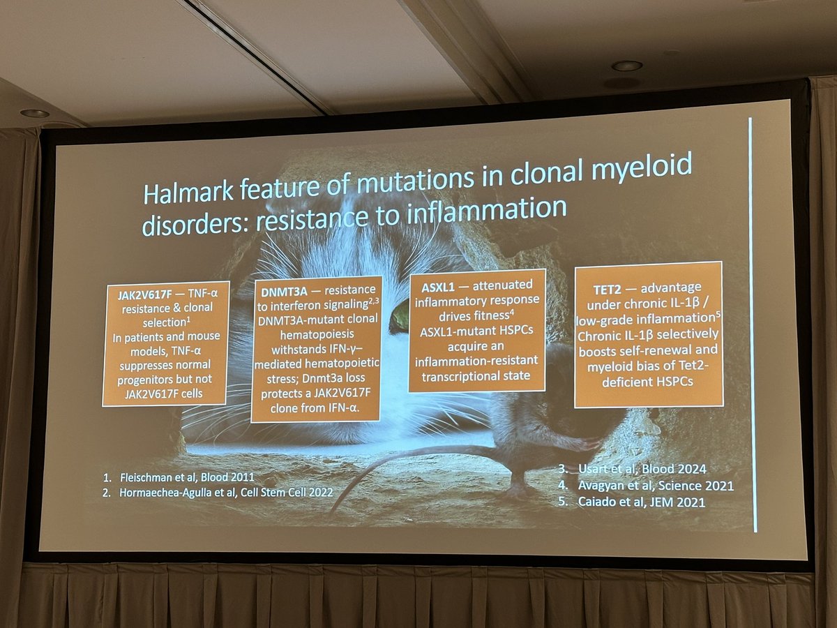 Naveen Pemmaraju, MD tweet media