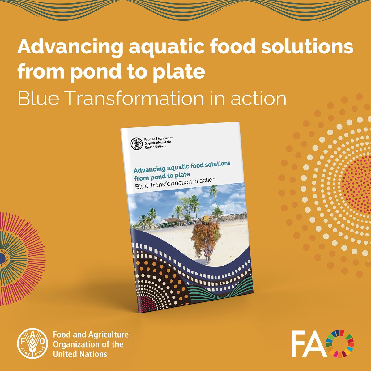 This collection of stories from Africa shows how #BlueTransformation is advancing aquatic food solutions in Africa.

It shows the potential of sustainable aquaculture when it aligns with the principles of the #FAO_GSA.

More 👉 doi.org/10.4060/cd0467…