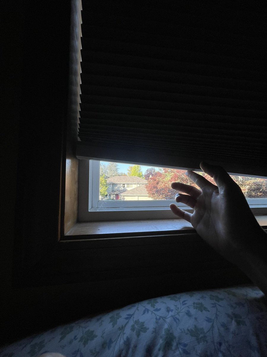 lelindquist13's tweet photo. no more za it got light out on me https://t.co/Shn9XeHKlS