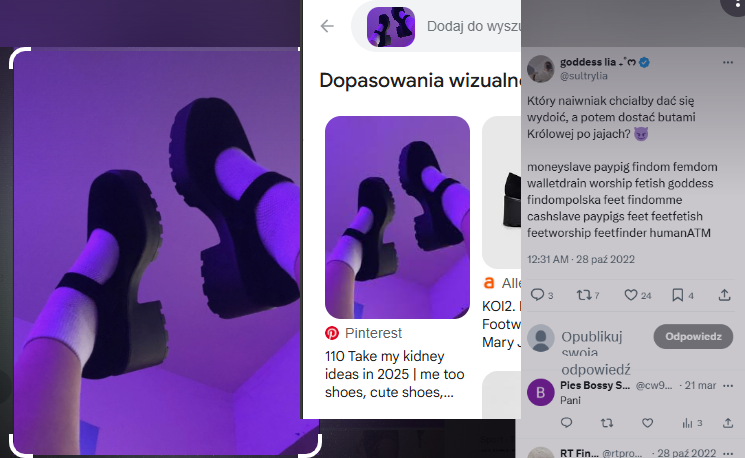 Findom ALERT 🇵🇱 / 🌍 tweet media