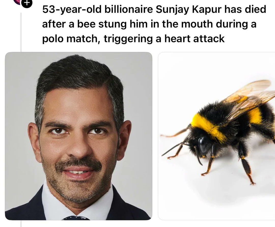 We are sorry for the loss of the bee.

#EatTheRich