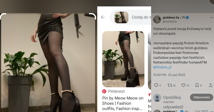 Findom ALERT 🇵🇱 / 🌍 tweet media