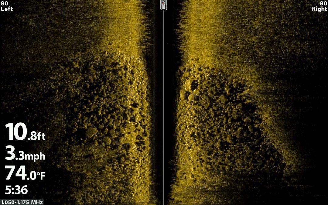 HumminbirdFish tweet media