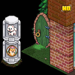 Our National Dog Day event is now open! For the chance to win 50 credits, take a screenshot of yourself in the badge room!🐶
Guide: habboquests.co/guide/2448
Win 50c: habboquests.co/forum/thread/6…