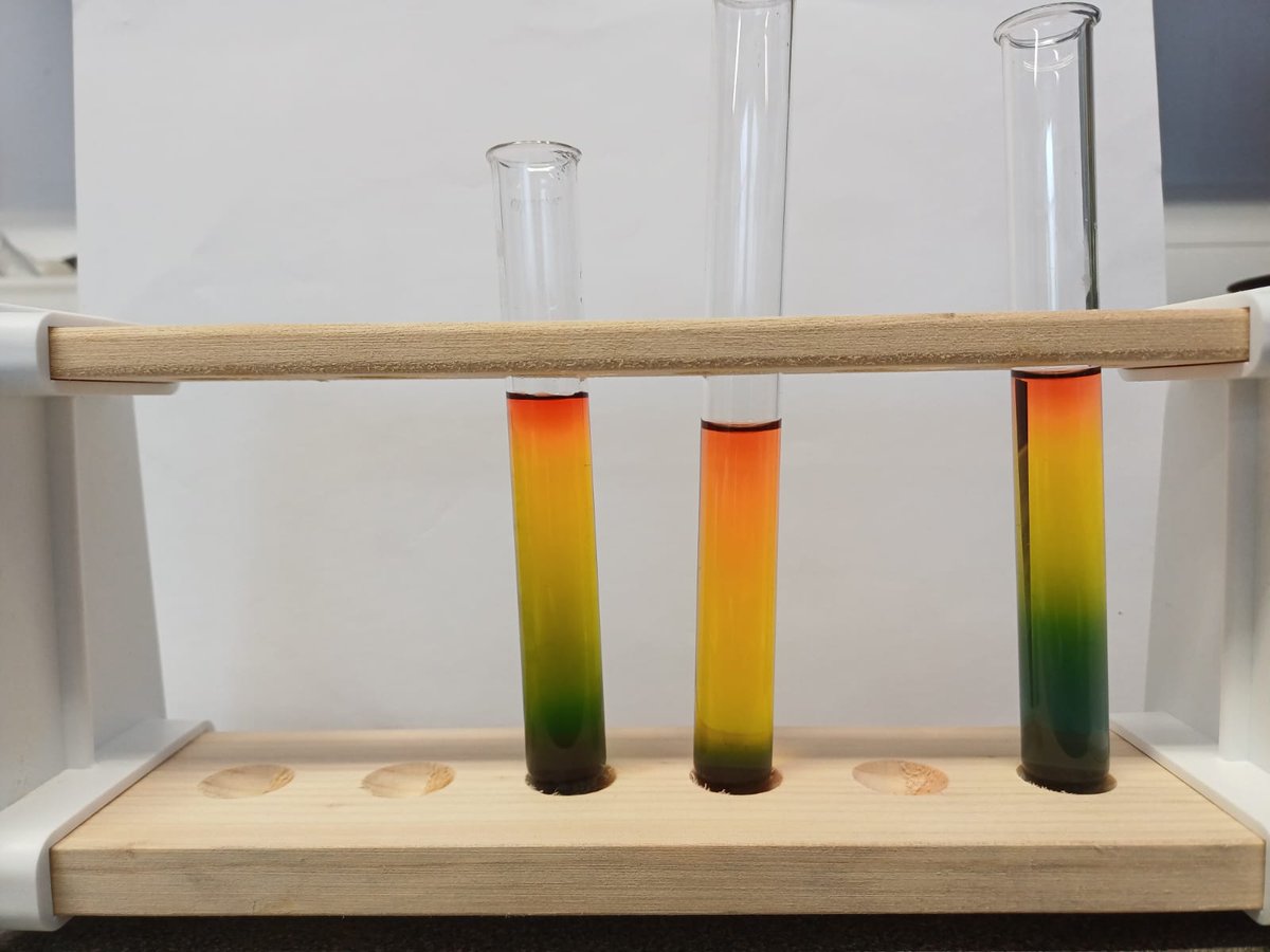 Rainbow making in S1 science club today!

The club meets every Friday at 1.10pm in B4. 

Hope to see some new faces next week! 👩🏽‍🔬👨🏻‍🔬🧑🏿‍🔬👩🏼‍🔬