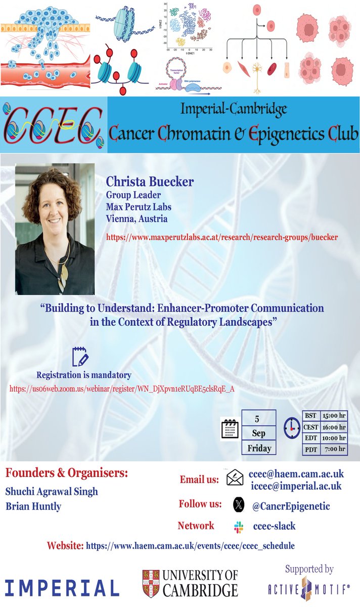 📢CCEC seminar alert 5thSep,3PM UK🇬🇧🕒 We’re hosting Christa Buecker Max Perutz Labs Vienna <a href="/MaxPerutzLabs/">Max Perutz Labs Vienna</a> Christa will talk:"Enhancer-Promoter  cooperativity in gene regualtion"key process for development and its deregulation a hallmark for cancer. Link👉us06web.zoom.us/webinar/regist…