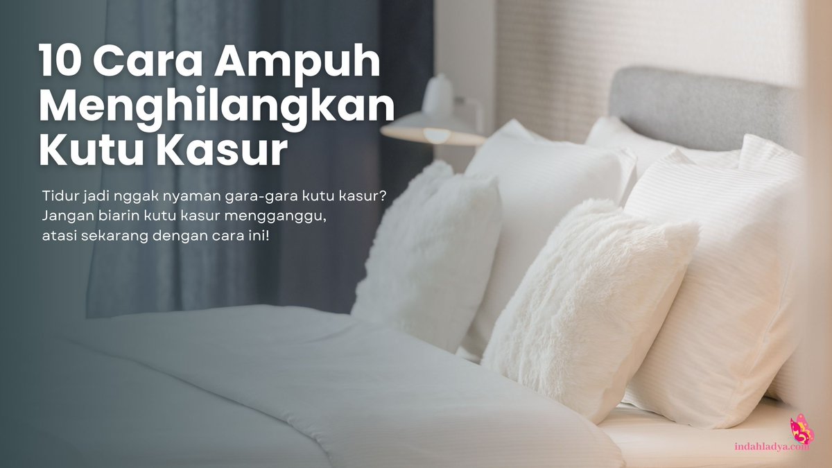 indahladya's tweet photo. Tidur jadi nggak nyaman gara-gara kutu kasur? Coba ikuti cara menghilangkan kutu kasur berikut ini biar kasur kamu bebas kutu dan lebih higienis.

https://t.co/MIp6ZnjDIz https://t.co/bToVAMELWS