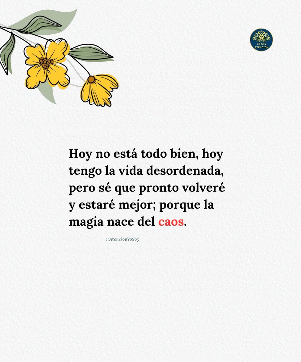 ✨✨