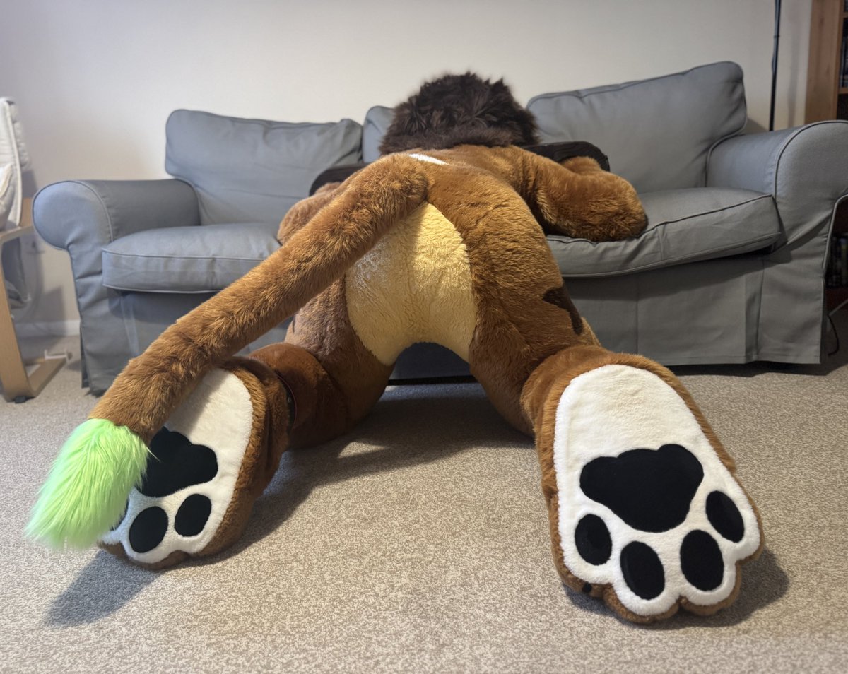 Spicey stock butt photos for a cheeky #FursuitFriday 
Forgive me :3
🦁🐾🍑