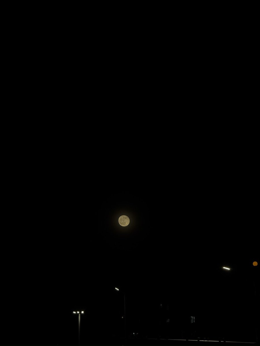 Thom Fang tweet media