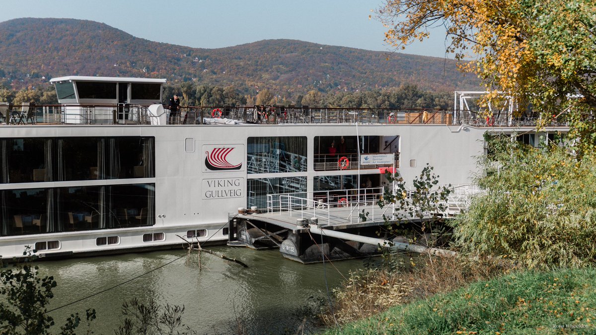 Rona Wheeldon tweet media