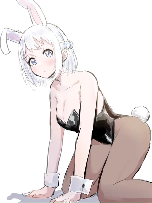 今日はバニーさんの日、です!