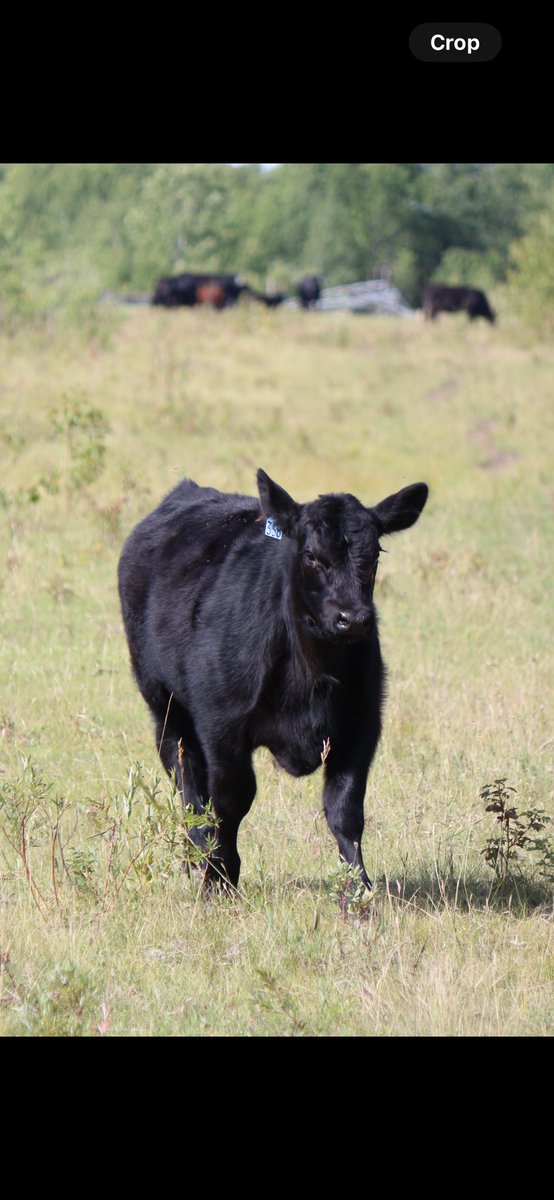 john larre tweet media