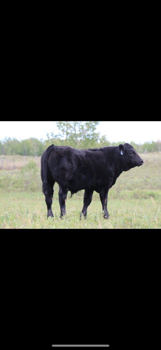 john larre tweet media